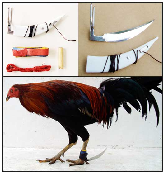 Sabong blade traditional image