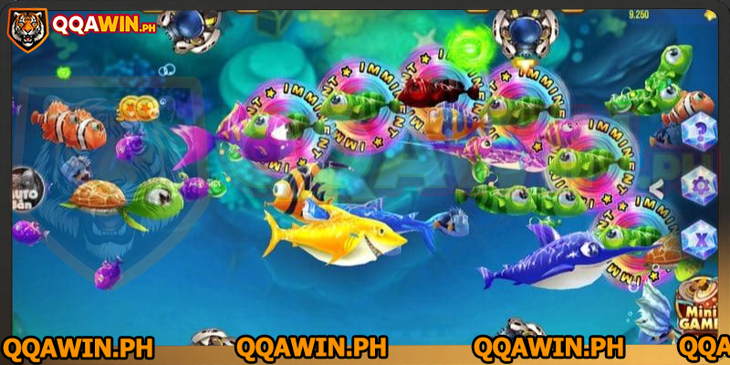 fishing-game-why