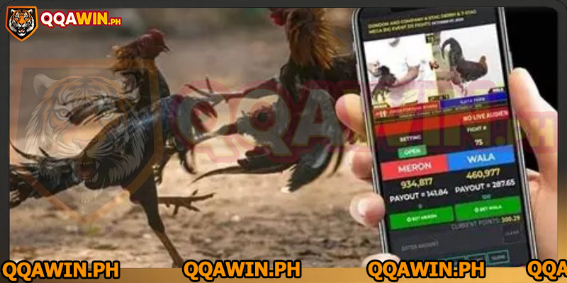 sabong-betting